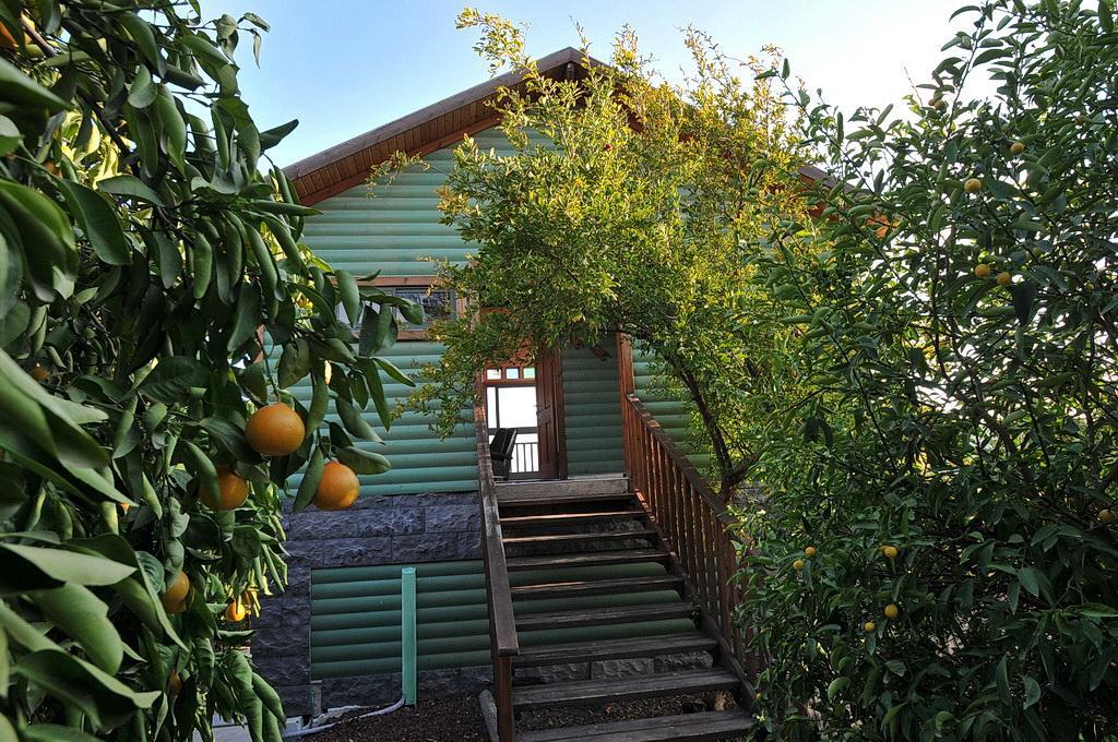 Sharvit Hakesem Villa Livnim Kültér fotó